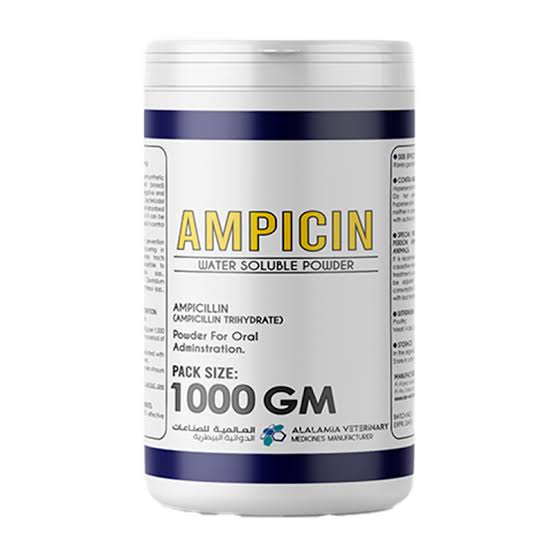 ampiclox
